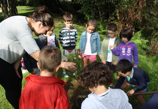 Os cativos do ‘Summer Camp’ de Oroso aprenden a importancia da biodiversidade coa plantación dunha árbore no Carboeiro